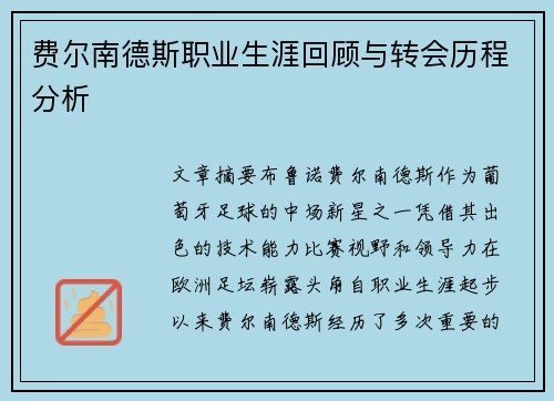 费尔南德斯职业生涯回顾与转会历程分析