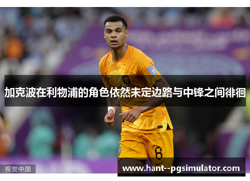 加克波在利物浦的角色依然未定边路与中锋之间徘徊