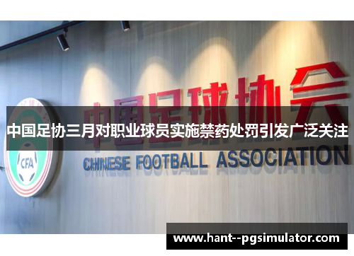 中国足协三月对职业球员实施禁药处罚引发广泛关注 中国足协三月对职业球员实施禁药处罚引发广泛关注