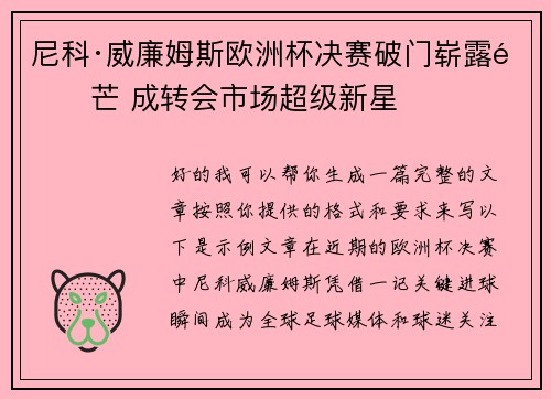 尼科·威廉姆斯欧洲杯决赛破门崭露锋芒 成转会市场超级新星