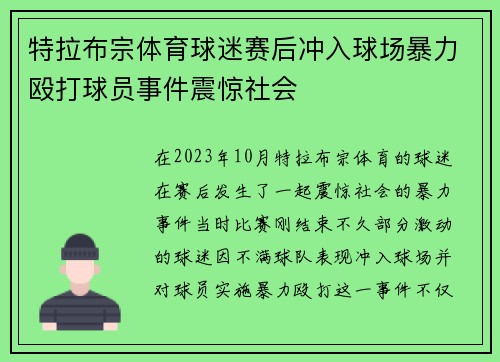 特拉布宗体育球迷赛后冲入球场暴力殴打球员事件震惊社会 特拉布宗体育球迷赛后冲入球场暴力殴打球员事件震惊社会