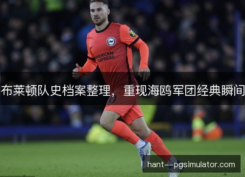 布莱顿队史档案整理，重现海鸥军团经典瞬间